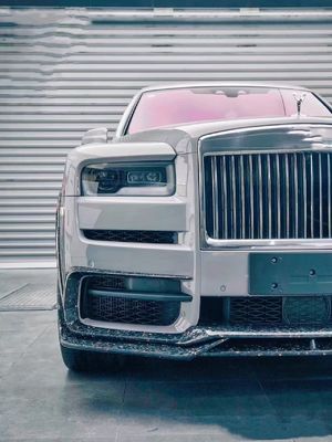 2018 - 2019 Cullinan Body Kit DW Style Front Lip Diffuser Spoiler Widebody Kit